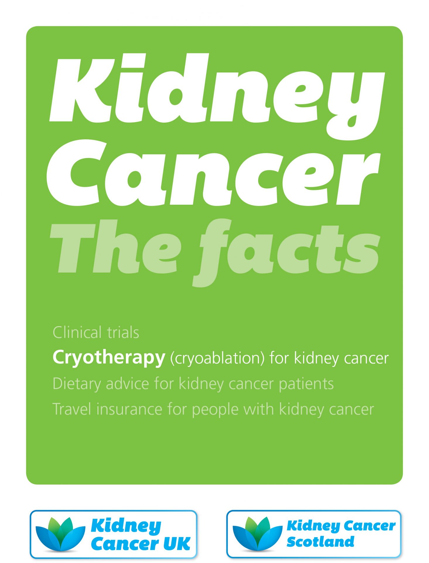 Kidney Cancer The Facts Cryotherapy Kidney Cancer UK